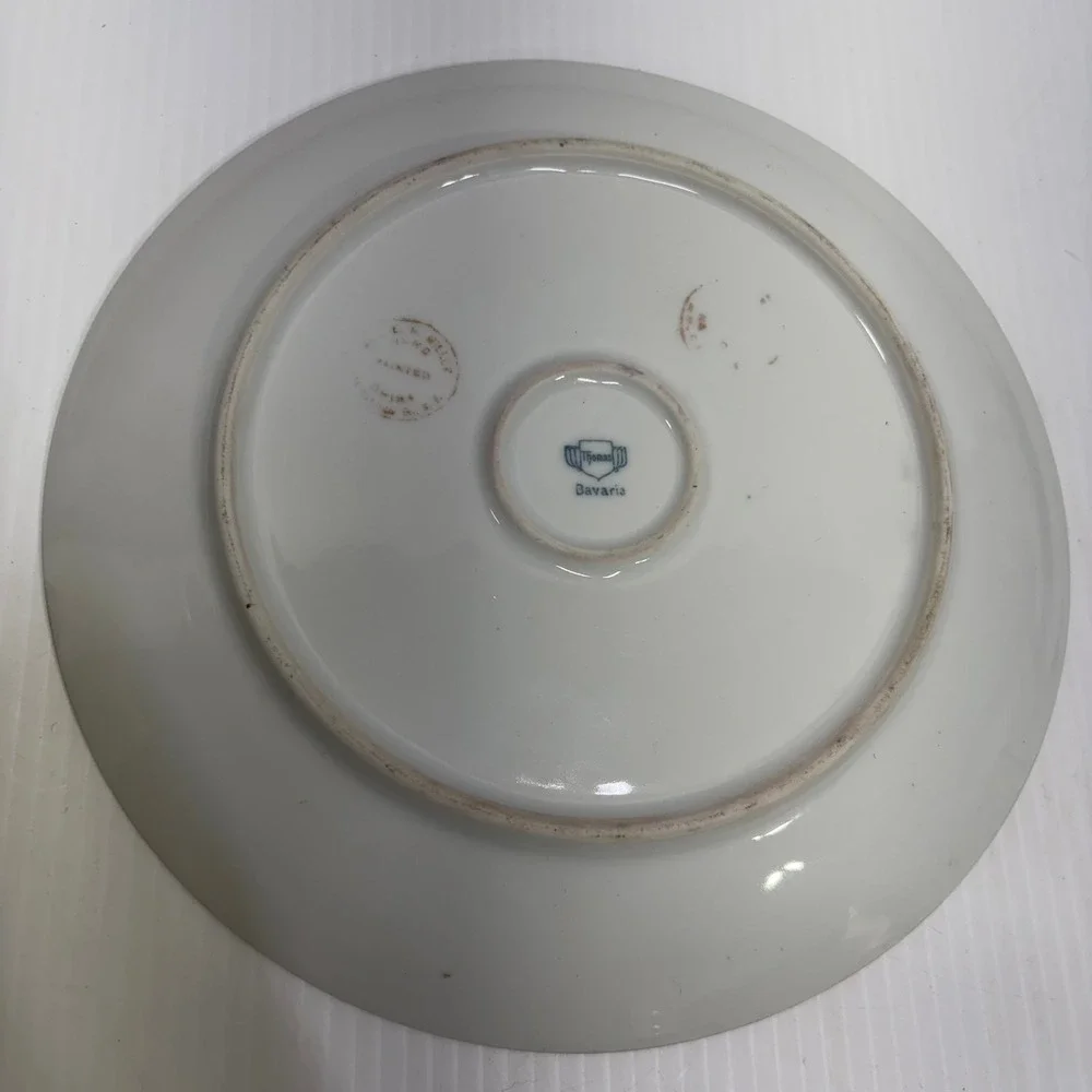 Bareuther Waldsassen Thomas Bavaria Forget Me Not Tea Cup Saucer Plate Set 3pc